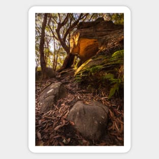 Cave In Bushland Sticker